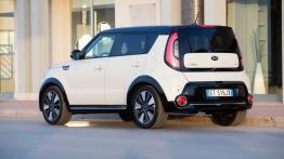 Kia Soul II (2014) CDRi 16V - widok z tyłu
