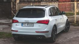 Audi SQ5 - hot-SUV