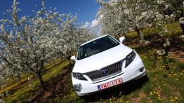 Lexus RX III SUV