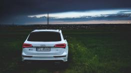 Audi SQ5 - hot-SUV