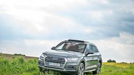 Audi Q5 2.0 TFSI Quattro - napompowany bolid czy bardzo szybki SUV?