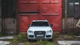 Audi SQ5 - hot-SUV