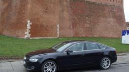 Konkurencja wewnątrz koncernu VW