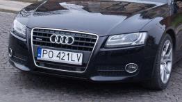 Konkurencja wewnątrz koncernu VW