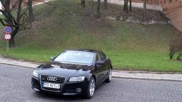 Konkurencja wewnątrz koncernu VW