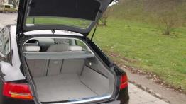 Konkurencja wewnątrz koncernu VW