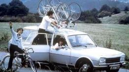 Od 504 do 508 - powrót króla lwów