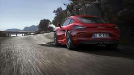 Porsche Boxster i Cayman na celowniku ekologów