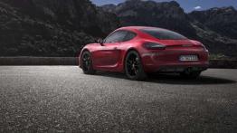 Porsche Boxster i Cayman na celowniku ekologów