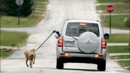 Aktywność fizyczna kierowców