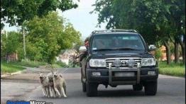 Aktywność fizyczna kierowców