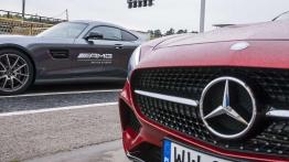 AMG LADY Training – nie tylko dla orłów