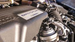 Honda Jazz i HR-V - powrót samurajów