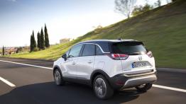 Opel Crossland X - widok z tyłu