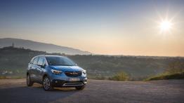Opel Crossland X - widok z przodu