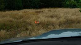 Elektryzująco szybka hybryda - BMW X6