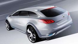 Pomieszanie z poplątaniem - Peugeot 508 RXH