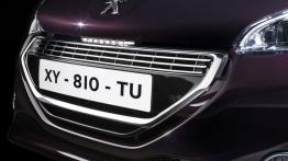 Peugeot 208 XY - grill