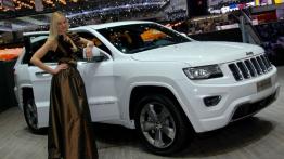 Geneva Motor Show 2013 - hostessy