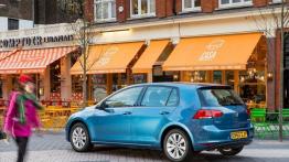 Volkswagen Golf VII 2.0 TDI BlueMotion Technology - widok z tyłu