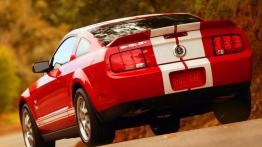 Ford Mustang Shelby - widok z tyłu