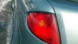 Hiszpańska mucha dla całej rodziny