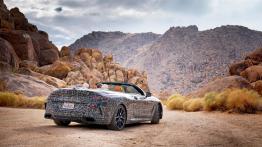 BMW seria 8 Cabrio: Niemcy już testują, my jeszcze poczekamy