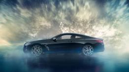 BMW Individual M850i xDrive Coupe Night Sky - lewy bok