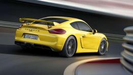 Porsche Cayman GT4 RS - gdy zabraknie mocy