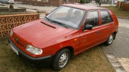 20 lat w garażu - historia czerwonej Skody!