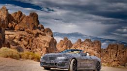 BMW seria 8 Cabrio: Niemcy już testują, my jeszcze poczekamy