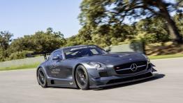 Mercedes SLS AMG GT3 45th Anniversary - widok z przodu