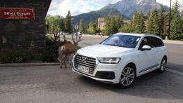 SUV wszechstronnie utalentowany?