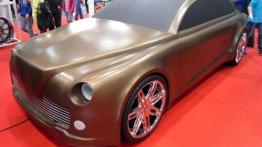 Poznań Motor Show 2014 - relacja z imprezy