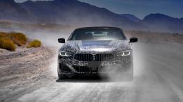 BMW seria 8 Cabrio: Niemcy już testują, my jeszcze poczekamy