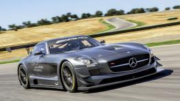 Mercedes SLS AMG GT3 45th Anniversary - widok z przodu