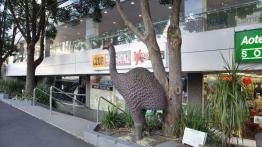 Audi Q5 - New Zealand Tour. Auckland (fotostory)