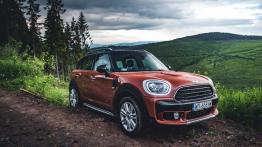 Countrymanem w góry