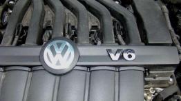 Z mocą mu do twarzy