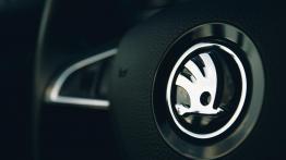 Superb podczas górskiej wyprawy