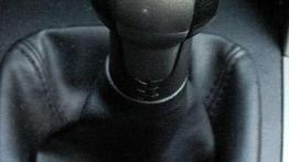 Hiszpańska mucha dla całej rodziny