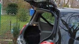 Renault Twingo 1.2 16V (75 KM) Dynamique - zwinny i stylowy