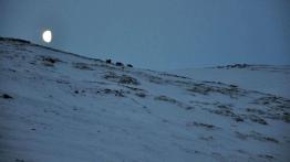 Wyprawa na Nordkapp Volkswagenami 4Motion - dzień czwarty