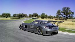Mercedes SLS AMG GT3 45th Anniversary - widok z tyłu