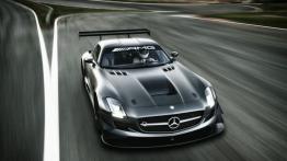 Mercedes SLS AMG GT3 45th Anniversary - widok z góry