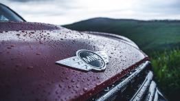 Countrymanem w góry