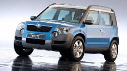 Skoda Yeti - widok z przodu