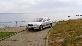 Skoda Octavia 1.9 TDI Ambiente - galeria redakcyjna - widok z przodu