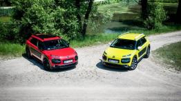 Citroen C4 Cactus PureTech & BlueHDi - galeria redakcyjna - widok z góry