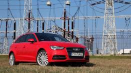 Audi A3 8V Sportback e-tron 204KM - galeria redakcyjna - widok z przodu